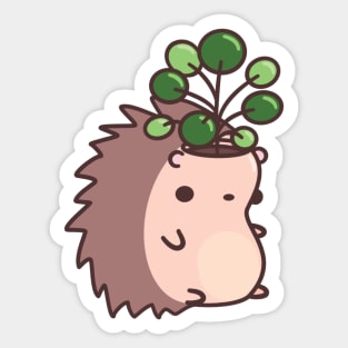 Hedgehog Planter with Pancake Plant Sticker